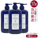 【3個セット】ルベル ナチュラル ヘア ソープ ウィズ CYd 1000ml