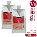 【2個セット】ルベル IAU イオリコミント クレンジング シャンプー 1000ml