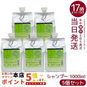 【5個セット】ルベル IAU イオリコミント クレンジング icy 1000ml