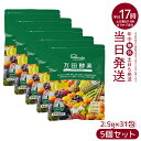 【5個セット】万田酵素 ペーストタイプ スタンダード分包 77.5g (2.5g×31包) 自然発酵食品 酵素サプリ 発酵酵素