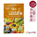 万田酵素 ペーストタイプ GINGER ジンジャー 分包 77.5g (2.5g×31包) 自然発酵食品 酵素サプリ 発酵酵素