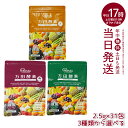 【種類選べる】万田酵素 ペーストタイプ GINGER ジンジャー スタンダード マルベリー 分包 77.5g (2.5g×31包) 自然発酵食品 酵素サプリ 発...