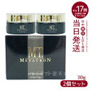 【2個セット】MTメタトロン MT ステムクリーム (保湿クリーム) 30g 化粧品