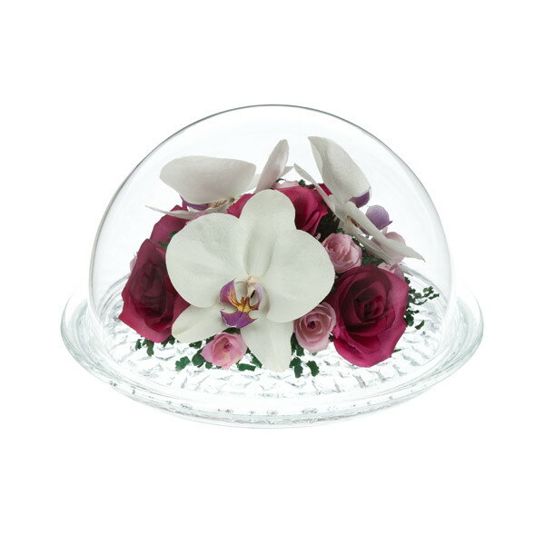 周年記念 結婚祝い 開店祝 プレゼント インテリアギフト 母の日 記念日 開業祝い クリスマス プレゼント 内祝い 花 ガーデン Diy 新築御祝 誕生日プレゼント 開店祝い 開業祝い 人気 開店 お祝い お返し お礼 日本 アレンジフラワー 胡蝶蘭 バラ 母の日 誕生日 女友 周年記念 結婚祝い 開店祝 プレゼント インテリアギフト 母の日 記念日 開業祝い クリスマス プレゼント 内祝い 花 ガーデン Diy 新築御祝 誕生日プレゼント 開店祝い 開業祝い 人気 開店 お祝い お返し お礼 日本 アレンジフラワー 胡蝶蘭 バラ 母の日 誕生日 女友