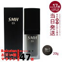 ルアン スーパーミリオンヘアーEX 20g No.1 ブラック 男女兼用 薄毛隠し 白髪隠し 女性用 薄毛 白髪 頭皮 分け目 生え際