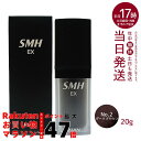 ルアン スーパーミリオンヘアーEX 20g No.2ダークブラウン 男女兼用 薄毛隠し 白髪隠し 女性用 薄毛 白髪 頭皮 分け目 生え際