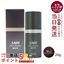 ルアン SMHメンズヘアファンデーション 20g No.2ダークブラウン 白髪カバー ルアン smh ヘア ファンデーション ヘアファンデーション ヘアパウダー 白髪隠し 薄毛対策 白髪対策 ランキング おすすめ