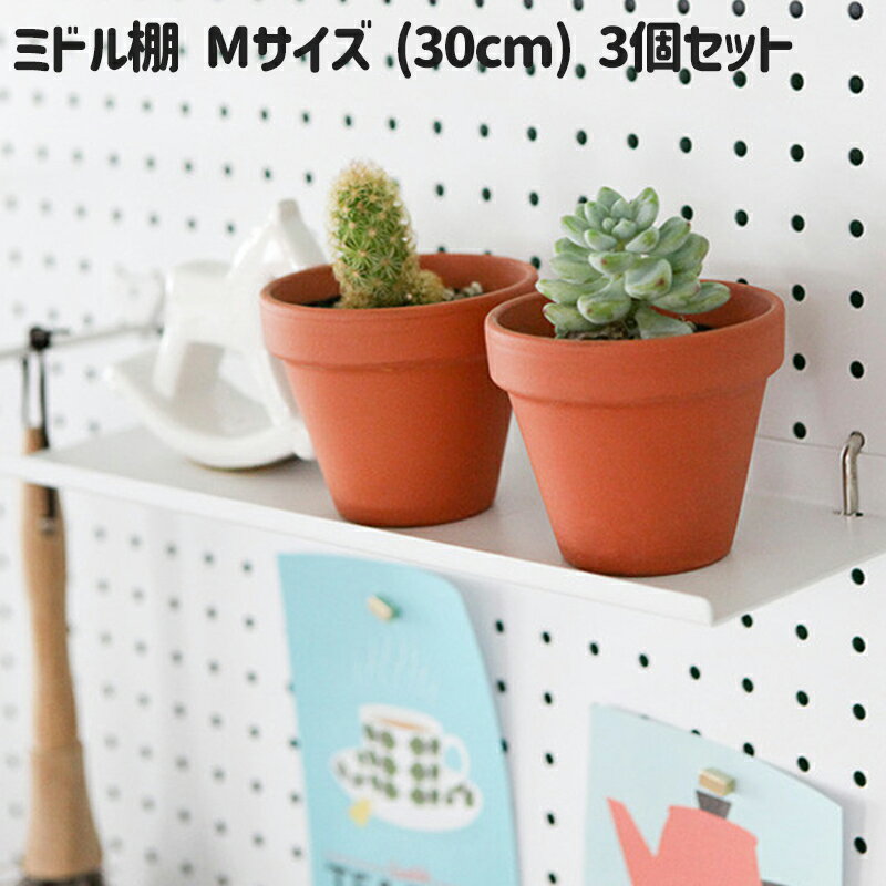 【マラソン限定クーポンで5%OFF】 取り付け ミドル棚 Mサイズ 幅10cm x 長さ30cm 3個 フック 固定型 シェルフ マグネットボード パンチングボード ペグボード 穴あきボード 有孔ボード 壁面 収納 お部屋 壁のリノベーション DIY