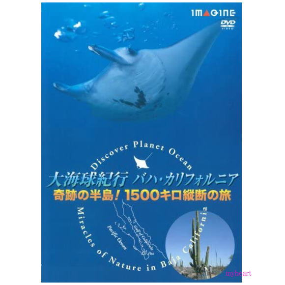 平成16年民放連テレビエンターテイメント部門優秀賞受賞作品 「地上の楽園」バハ・カリフォルニア。ダイナミックな自然の全てを高画質映像でお伝えします! わずか数ミリの小魚から体長15メートルを超えるクジラまで、半島と周辺の小島に暮らす豊富な生き物たちを収録。砂漠の大地からは巨大サボテン、鮫の歯の化石探し、謎の壁画への旅、地元の料理など、これまで世界70カ国の海を旅してきた海洋ジャーナリスト・永田雅一氏がバハ・カリフォルニアの魅力を余すところなく紹介しています。 BS日テレで「大海球紀行」シリーズとして放送されたものからカリフォルニア半島を縦断した再編集版をDVDとして発売しました。　　発売日：2006年4月1日 【商品内容】 ■DVD1枚 【備考】 ※商品発送まで3〜5日ほどお時間をいただく場合がございます。平成16年民放連テレビエンターテイメント部門優秀賞受賞作品 「地上の楽園」バハ・カリフォルニア。ダイナミックな自然の全てを高画質映像でお伝えします! わずか数ミリの小魚から体長15メートルを超えるクジラまで、半島と周辺の小島に暮らす豊富な生き物たちを収録。砂漠の大地からは巨大サボテン、鮫の歯の化石探し、謎の壁画への旅、地元の料理など、これまで世界70カ国の海を旅してきた海洋ジャーナリスト・永田雅一氏がバハ・カリフォルニアの魅力を余すところなく紹介しています。 BS日テレで「大海球紀行」シリーズとして放送されたものからカリフォルニア半島を縦断した再編集版をDVDとして発売しました。　　発売日：2006年4月1日 【商品内容】 ■DVD1枚 【備考】 ※商品発送まで3〜5日ほどお時間をいただく場合がございます。