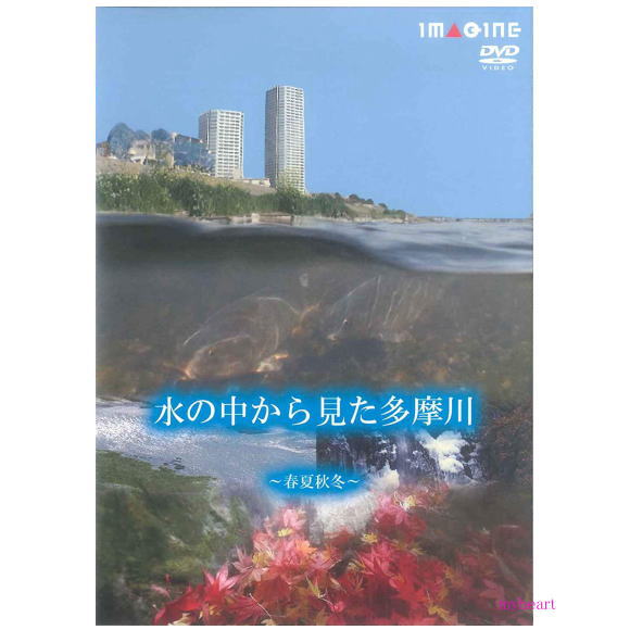 【宅配便配送料込】水の中から見た多摩川　春夏秋冬（DVD）宅配便送料込み価格を表示