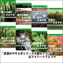 【宅配便通常送料・代引手数料0円】自然のやすらぎシリーズ8巻セット(DVD)