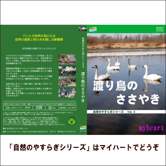 【宅配便配送】自然のやすらぎシリーズ3　渡り鳥のささやき（DVD）