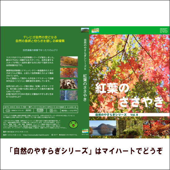 【宅配便配送】自然のやすらぎシリーズ8　紅葉のささやき（DVD）