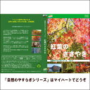 【宅配便配送】自然のやすらぎシリーズ8 紅葉のささやき(DVD)
