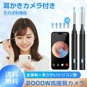 耳かき カメラ付き【2025年新モデル・2000万画素】 <お試し価格>カメラ付き耳かき 6LEDライト 3.6mm極細レンズ 録画 写真 左右反転機能 IP67防水 WIFI接続 Type-C充電 耳掃除 耳垢除去 9点セット 子供 耳掃除 大人 お年寄り iOS Android対応 日本語説明書 TELEC認証済