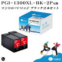 【今だけ特価】 G&G PGI-1300XLBK 黒2個セット 顔料【残量表示機能付】キヤノン 互換インク PGI-1300XL-4PK 対応プリンター: MA...