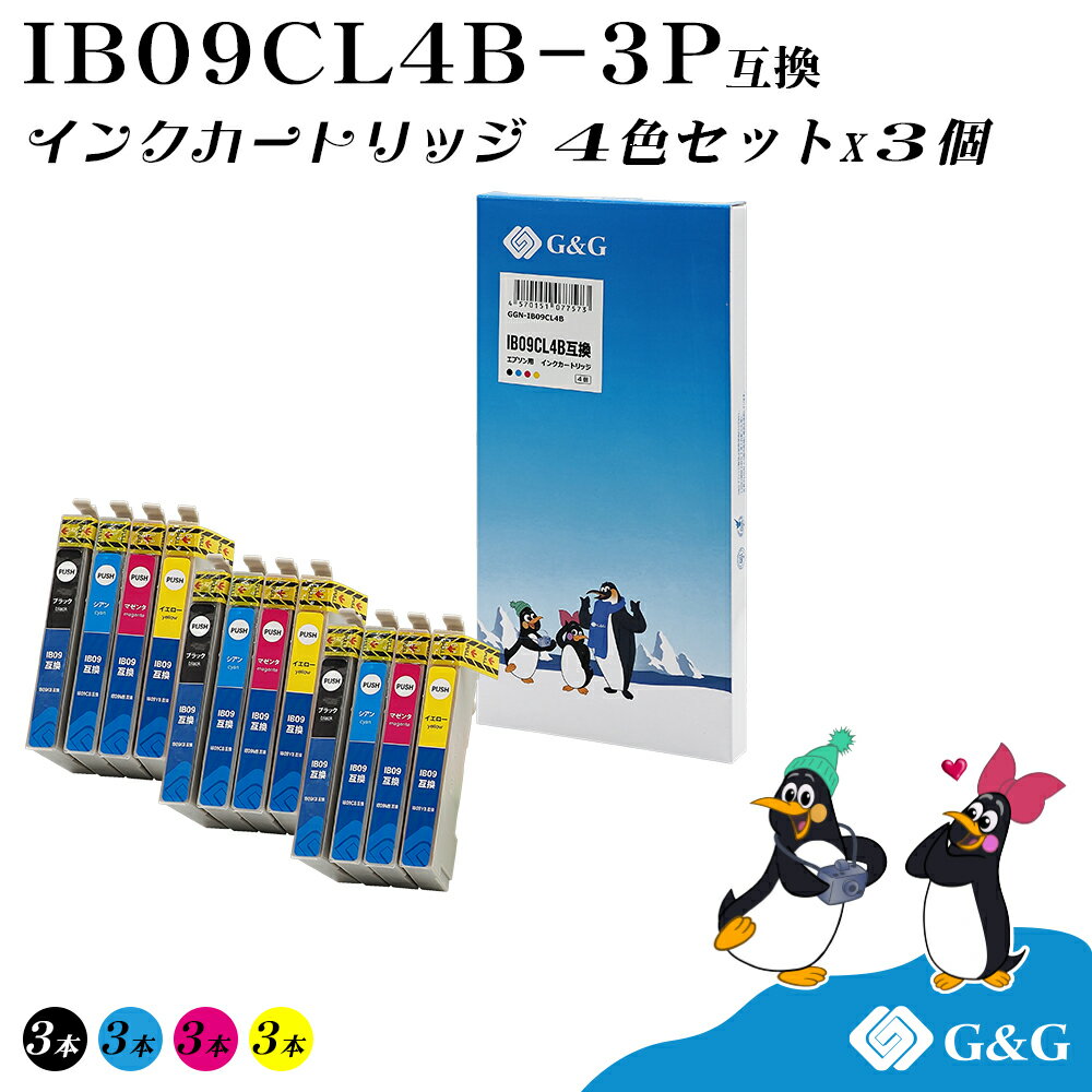 G&G エプソン用 互換インク IB09CL4B(KB/CB/MB/YB)4色セット×3個 大容量 染料 残量検知対応 EPSON 対応機種：PX-M730F/PX-S730