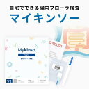 【テレビで話題！】【ランキング入賞】自宅でできる腸内フローラ検査「マイキンソー（Mykinso）」腸/検査/キット/フローラ/腸内細菌/エクオール/ヘルスケア/健康［送料無料］