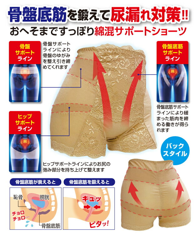 骨盤サポートショーツ 3枚組 ( ベージュ ) M L LL 大きいサイズ 尿漏れ 対策 骨盤底筋