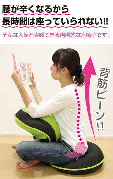 【ポイント10倍】 座椅子 リクライニング 背筋がGUUUN 美姿勢座椅子 【送料無料】