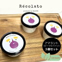 お中元 暑中見舞い おしゃれ アマラント3個セット 野菜 ジェラート ヴィーガン対応 ヴィーガン スイーツ 詰め合わせ ギフト mylowe Récolato 日時指定 プレゼント 入学祝い 内祝い 出産祝い 退職祝い 夏 ギフト 低糖質 アイスクリーム ビーツ パイン パイナップル