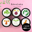 お中元 暑中見舞い お返し おしゃれ 野菜 ジェラート 無添加 ジェラート 誕生日 mylowe Récolato 日時指定 プレゼント 低糖質 ジェラート お取り寄せ おやつ 自宅用 6個セット 内祝い 出産祝い 退職祝い 夏ギフト 低糖質 アイスクリーム かぼちゃ みかん ヴィーガン