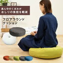 BIG 円座クッション エコ ビッグ ボリューム フロアクッション 座布団 円形 クッション ひじ置き 背当て 背もたれ 脚枕 足まくら 気持ちいい テレワーク...