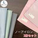 ランチョンマット Lサイズ ノーアイロン 40×60 汚れにくい 撥水 大きめ ネームラベル コンパクト ふき取れる 大判 小学校 保育園 幼稚園 お名前 横長 入園 入学 ランチクロス 小学生 男の子 女の子 新学期 給食 送料無料