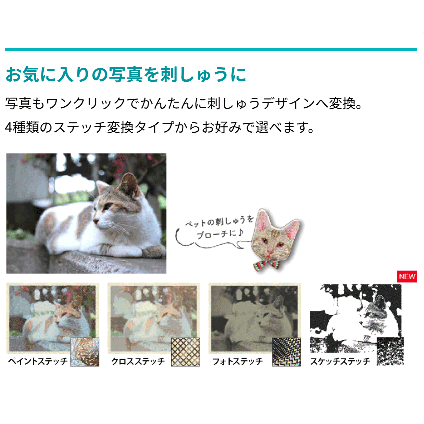 JANOME ����Υ��Artistic Digitizer Ver.2.0�б� �����ƥ����ƥ��å��ǥ����������׻ɤ��夦�ǡ����������ե� �ɽ��ǡ������������ꥸ�ʥ�ɤ��夦