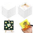 12個入り キャンバスボード 張りキャンバス 正方形キャンバス ミニキャンバス ボールドキャンバス 絵画ボード ミニサイズ 油絵 画材 水彩画 アクリル絵の具 工芸品 子供 初心者 学校 絵画教室 部屋飾り 屋内 DIY 学習教材 部屋飾り 芸術絵創作 現代油絵 美術装飾10cmx10cm