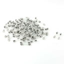 T ガラス管ヒューズ ファストブロータイプ 250V 10A 6x30 mm 100個