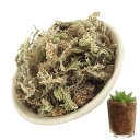 水苔 天然水苔 胡蝶蘭 圧縮水苔 ミズゴケ 胡蝶ラン 蘭や山野草・観葉植物の栽培に 水苔 園芸 保水性&通気性 鉢土乾燥防止 有機肥料 分解可能 土壌改良 苔 土 保水性 盆栽・ラン・多肉植物 観葉植物 植木鉢保湿 鉢土乾燥防止 園芸用品 ガーデニング用品 60/120/150g