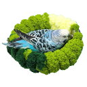 鳥かごの巣 - 暖かい鳥の巣 鳥のベッド、円形ラブバードケージベッド冬寝ベッド、オウムインコオカメインコラブバード用鳥ハンモック 編まれた鳥の巣ベッド - ふわふわの鳥の睡眠小屋、円形のラブバード ケージ ベッド |ソフトオウムの巣ハンギングケージ