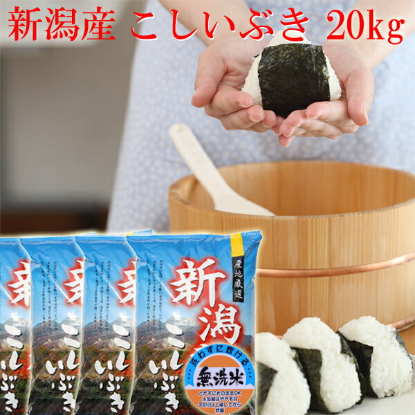 新米 無洗米 令和5年 新潟産 こしいぶき 20kg 5kg×4袋 送料無料 無洗米 直送米 新潟 米 コシイブキ 無洗米 安いお米 おいしいお米 美味しいお米 新潟 米 新潟産