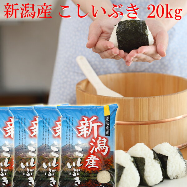 新米 令和5年 新潟産 こしいぶき 20kg 5kg×4袋 送料無料 新潟米 こしいぶき 新潟県産 米 送料無料 お取り寄せ おいしいお米 美味しいお米 新潟 米 新潟産 農家 小出農場