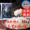 ◇産地直送◇【送料無料】コシヒカリゴールド 10kg【新潟コ...
