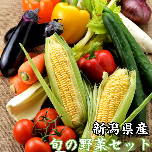 野菜セット 旬の野菜セット 夏野菜セット 新潟産 おまかせ野菜セット 野菜詰め合わせセット 農家野菜 農家直送のサムネイル