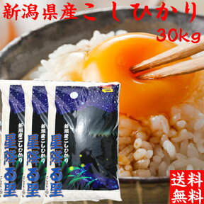 令和5年産 新潟産 コシヒカリ 30kg 送料無料 新潟 こしひかり 白米 30kg 米 新潟県産 コシヒカリ30キロ プレゼント付き まとめ買い 分搗き 産地直送 贈り物 ギフト 業務用米