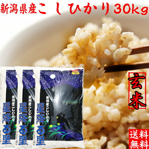 新米 令和5年 新潟産 コシヒカリ 玄米 30kg 10kg×3袋 送料無料 新潟 こしひかり 玄米 プレゼント入り ..