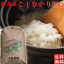 令和3年 コシヒカリ 25kg 送料無料 特A 新潟産 令和3年産 お米 コシヒカリ 送料無料 新潟産 [お米/米/25kg/令和3年/25キロ/こしひかり/白米/おいしいお米/美味しいお米/お取り寄せ/新潟産/新潟県産/新潟県/新潟/米/産地直送]