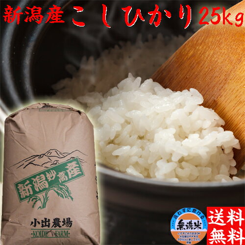 令和5年 新潟米 こしひかり 無洗米 25kg 送料無料 新潟 こしひかり 米 新潟産 コシヒカリ 送料無料 新潟産コシヒカリ お米 無洗米 25キロ 無洗米 おいしいお米 美味しいお米 美味しい米 お取り寄せ 新潟県産 新潟県 米 産地直送 新潟産の米 おいしい米