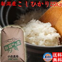 令和6年 新潟米 こしひかり 無洗米 25kg 送料無料 新潟 米 新潟産 コシヒカリ 送料無料 新潟産コシヒカリ 新潟コシヒカリ お米 25キロ 無洗米米 お...