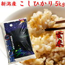 令和4年産 新潟 こしひかり 玄米 5kg 特A米 新潟米 コシヒカリ 新潟産 農家直送 プレゼント入り 【新潟県産 玄米】お米【新潟米 こしひかり 5キロ】 新潟県産 [安いお米 お取り寄せ おいしいお米 美味しいお米 新潟 米]