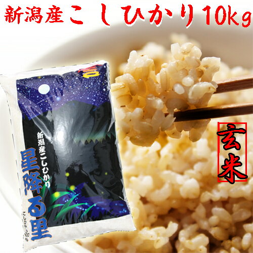 令和5年 新潟産 コシヒカリ 玄米 10kg 送料無料 新潟 こしひかり 玄米 米 新潟県産 米 玄米10キロ お米 美味しいお米 ブランド米 玄米10kg コシヒカリ10Kg 新潟県産コシヒカリ 新潟こしひかり 美味しいごはん コメ 新潟米 内祝い 引っ越し 挨拶 ギフト 玄米令和5年