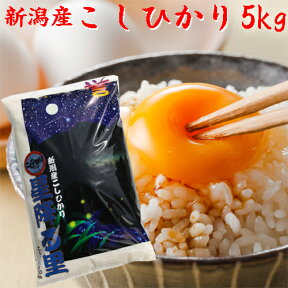 令和5年産 新潟産 コシヒカリ 米 5kg 新潟県産コシヒカリ 新潟 こしひかり 白米 コメ 精白米 美味しい 米5k お米 五キロ こめ 新潟 コシヒカリ コシヒカリ5キロ こしひかり5キロ 直送米 新潟県米 新潟米 お米5キロ 新潟産米 お取り寄せ 精米 新潟こしひかり 産地直送 ギフト