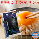 無洗米 5kg 令和3年 新潟産 コシヒカリ 無洗米 5kg 特A 令和3年 新潟県産 コシヒカリ 5kg コシヒカリデラックス 5kg 無洗米5キロ