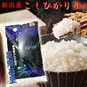 新米 令和5年 新潟産 コシヒカリ 5kg 新潟米 新潟 こしひかり プレゼント入り コシヒカリギフト 米 お米 高級米 白米 お取り寄せ おいしいお米 美味しいお米 新潟産 新潟県産 産地直送 農家の米 ギフト