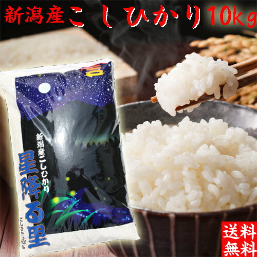 令和5年 新潟産 コシヒカリ 10kg 送料