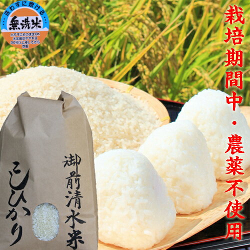 新米 新潟 こしひかり 令和5年 新潟産 コシヒカリ 無洗米 5kg 送料無料 御前清水米 栽培期間中農薬不使用 有機肥料 離乳食 米