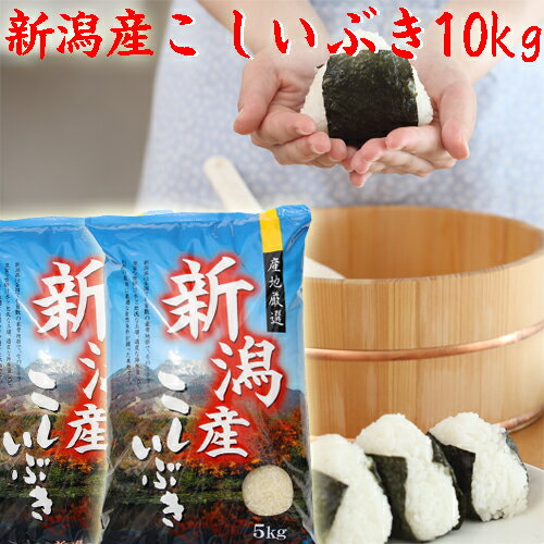 新米 令和5年 新潟米 こしいぶき 10kg 5kg×2袋 送料無料 白米 新潟米 10キロ 送料無料 新潟県産 米 お米 おいしいお米 美味しいお米 新潟 米 新潟産